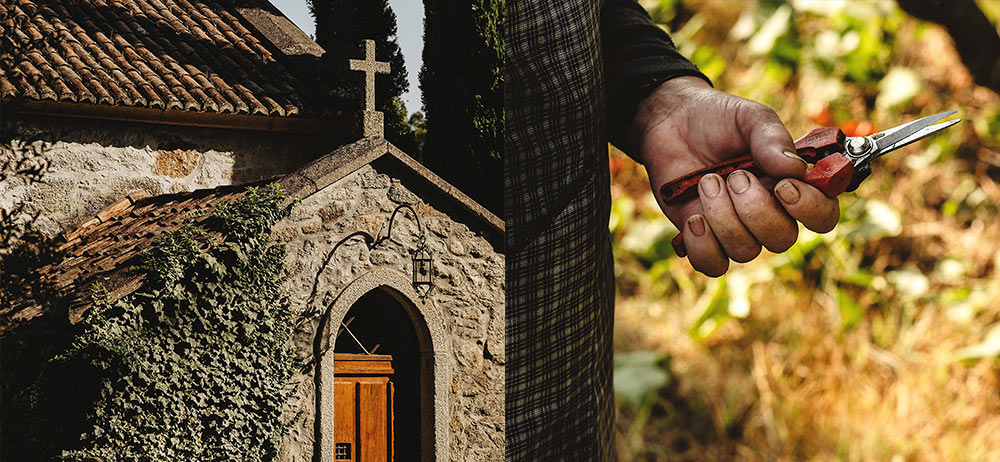 Una bodega de carácter familiar - Una de las bodegas con finca propia más grandes de Galicia