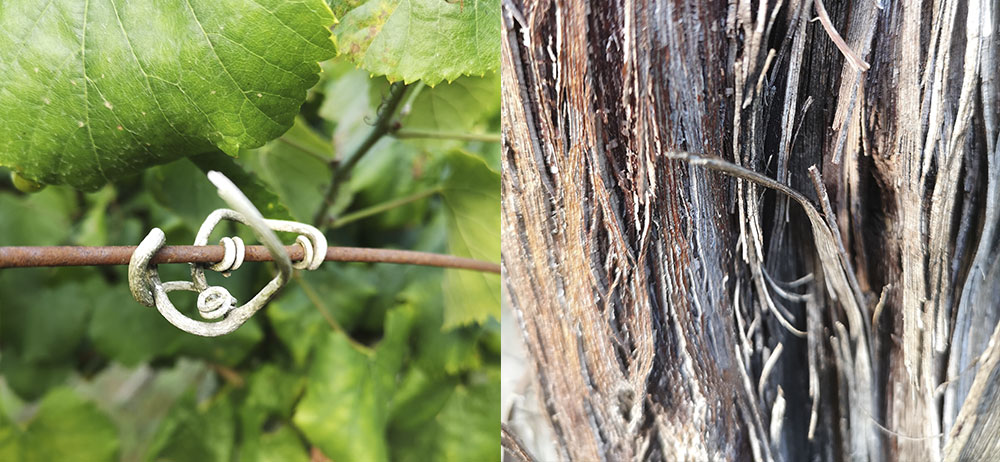 fillaboa-te-envuelve Fillaboa harmoniza tierra y mar en sus vinos blancos